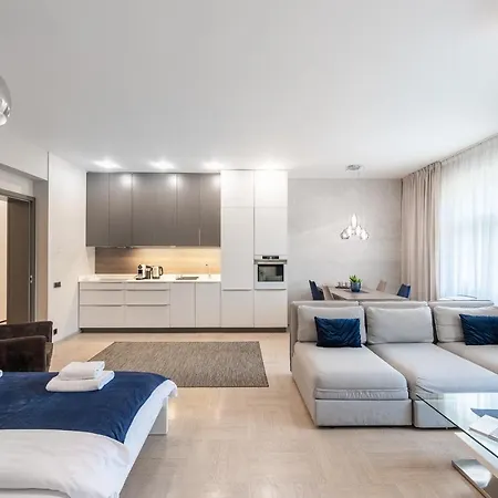 New Luxury Apt With Ac&parking In The Center Of Apartment *