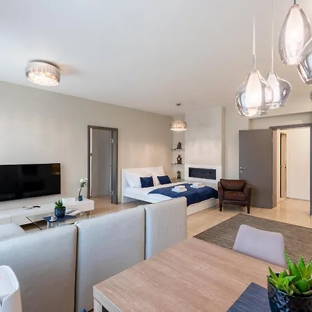 New Luxury Apt With Ac&parking In The Center Of *