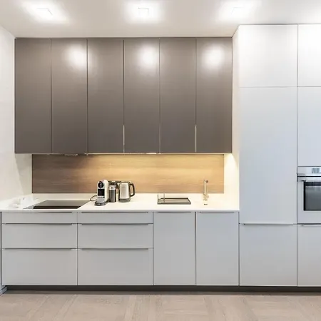 New Luxury Apt With Ac&parking In The Center Of *