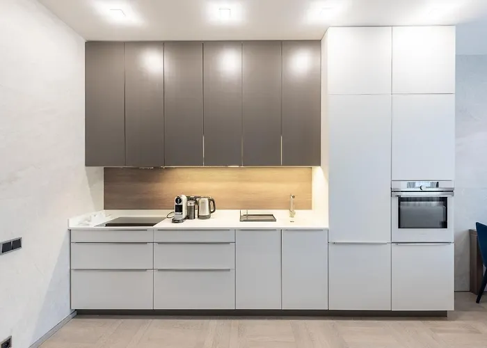 New Luxury Apt With Ac&parking In The Center Of *